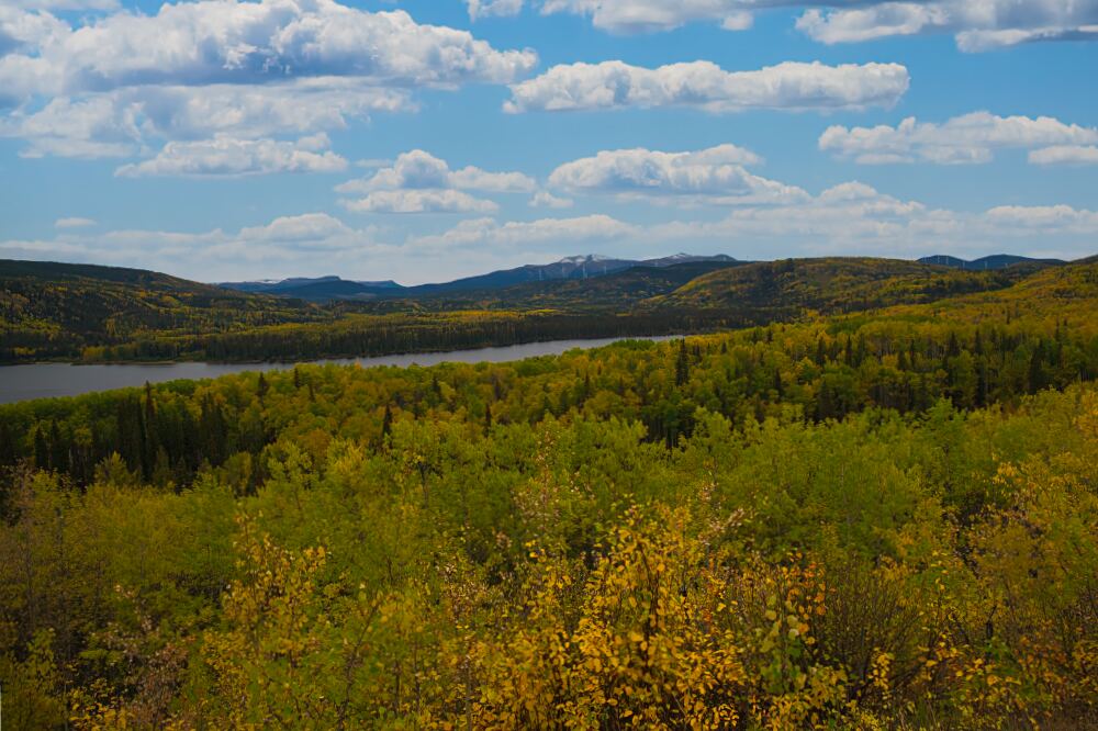 Gwillam Lake